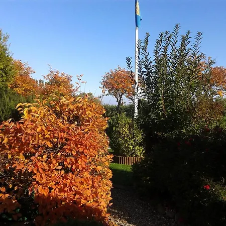 Silbermoewe In Neue Tiefe Apartment Fehmarn