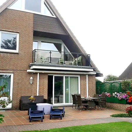 Silbermoewe In Neue Tiefe