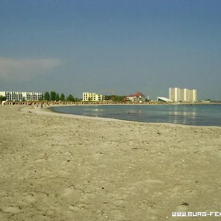 Silbermoewe In Neue Tiefe * Fehmarn