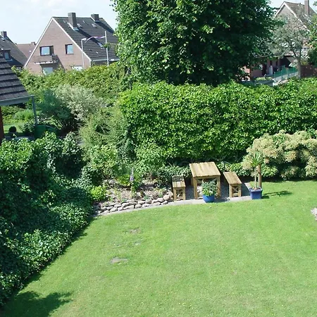 Silbermoewe In Neue Tiefe Fehmarn