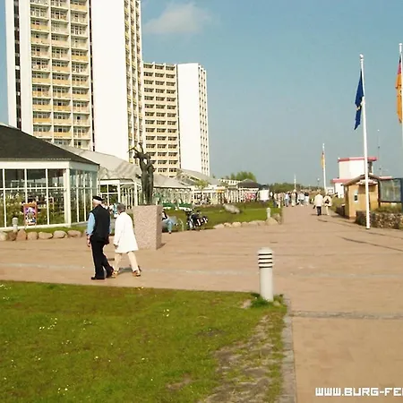 Silbermoewe In Neue Tiefe * Fehmarn